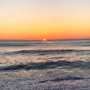 Meet your Posher, Brandie